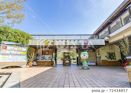 福岡県福岡市 福岡市植物園 福岡県福岡市 福岡市植物園 72438857
