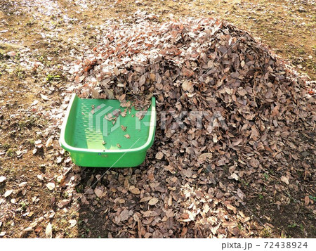 落ち葉　掃除 72438924