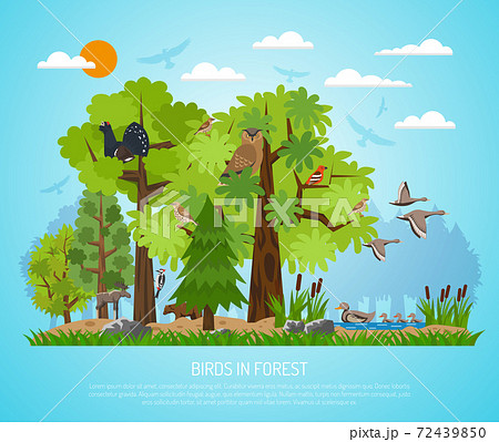 Poster Of Birds In Forest 72439850