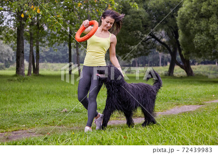 Wet black briard plays with owner in public park. Young woman trains her pet using toy ring. 72439983
