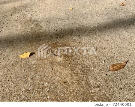 地面にあるアリの巣穴/The nest of ant is on the ground 72440001