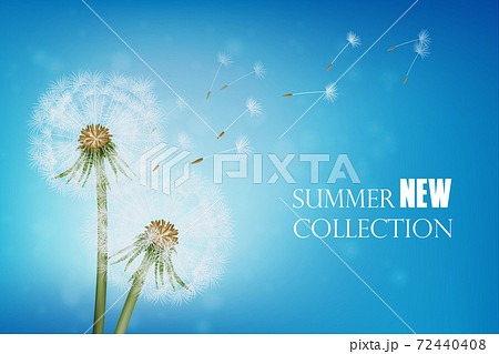 Realistic Wither Dandelion With Flying Seeds Realistic Wither Dandelion With Flying Seeds 72440408