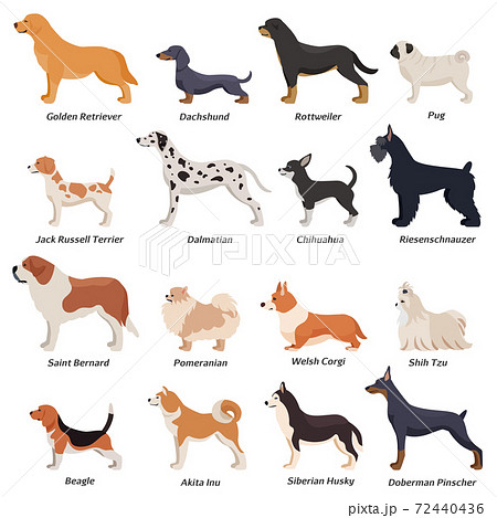 Profile Dogs Icon Set 72440436
