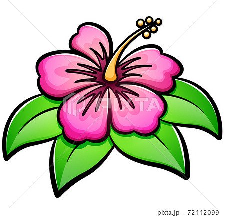 Vector hibiscus flower cartoon illustration - Stock Illustration [72442099]  - PIXTA