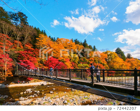 紅葉の中の吊橋 (紅の吊橋、塩原温泉、栃木県) 72442207
