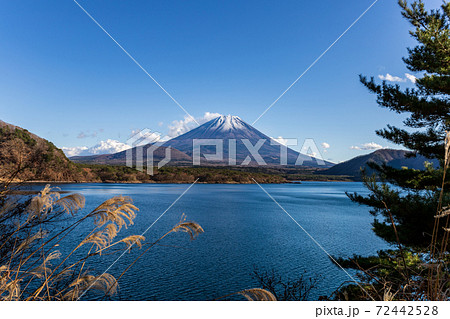 本栖湖西岸から見た富士山 本栖湖西岸から見た富士山 72442528
