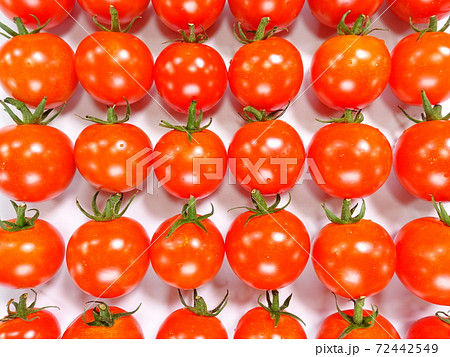トマト ミニトマト トマト ミニトマト 72442549