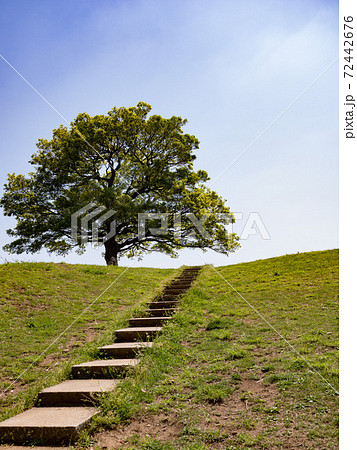 清水ヶ丘公園 2018 清水ヶ丘公園 2018 72442676