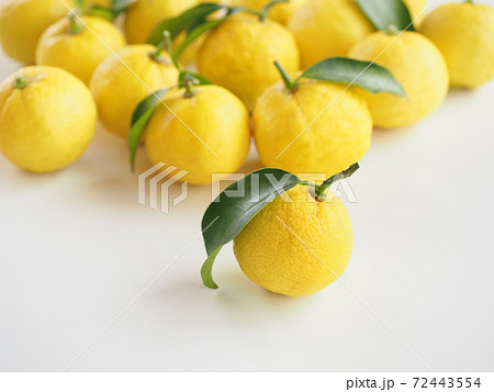 柚子 白バック 柚子 白バック 72443554