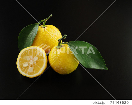 柚子 黒バック 柚子 黒バック 72443620