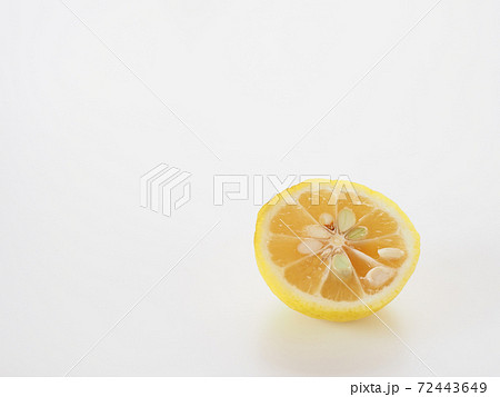 柚子　白バック 72443649
