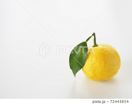 柚子　白バック 72443654