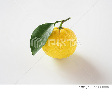 柚子　白バック 72443660
