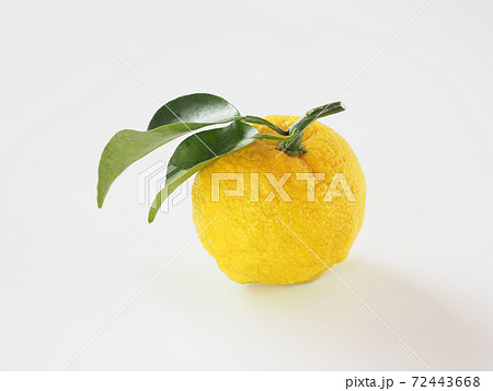 柚子　白バック 72443668