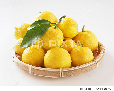 柚子 白バック 柚子 白バック 72443675