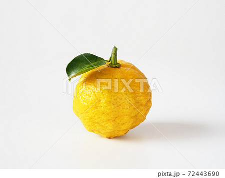 柚子 白バック 柚子 白バック 72443690