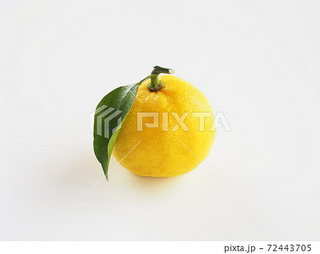 柚子 白バック 柚子 白バック 72443705