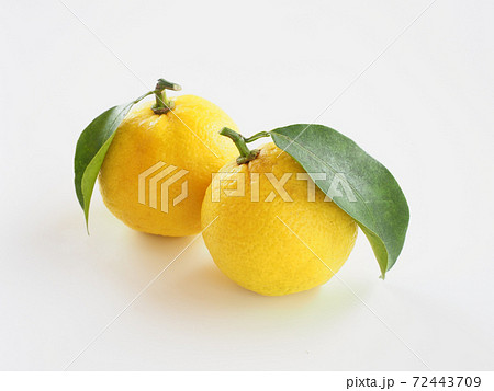 柚子　白バック 72443709