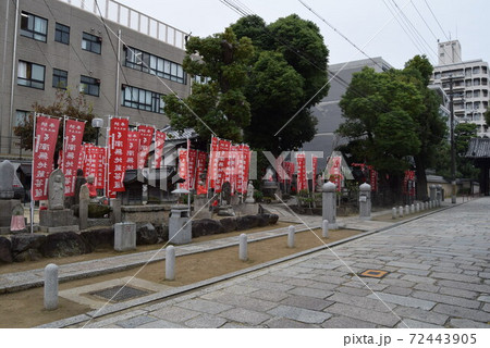 四天王寺 四天王寺 72443905