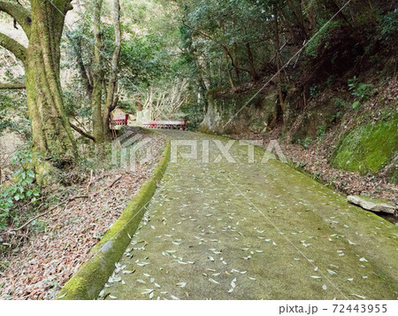 王滝渓谷 2018 王滝渓谷 2018 72443955