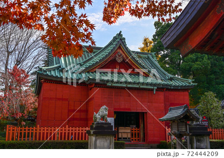 朱色の雪囲いと紅葉が美しい尾崎神社 72444209