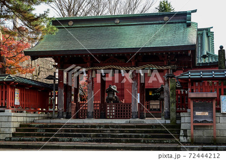 朱色の雪囲いと紅葉が美しい尾崎神社 72444212