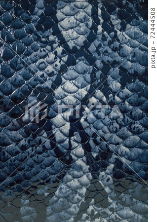 Reptile skin pattern background Reptile skin pattern background 72444508