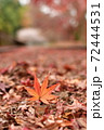 もみじ 72444531