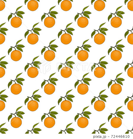 Seamless pattern with orange fruits and leaves 72446610