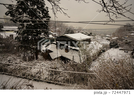 冬 木 雪景色 72447971