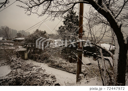 冬 木 雪景色 72447972