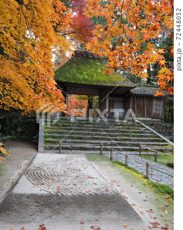 京都　法然院の紅葉 72448052
