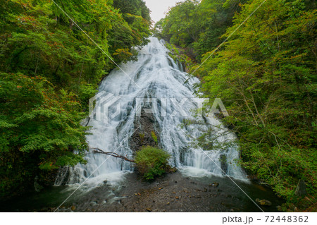 初秋の湯滝、正面から (奥日光、栃木県) 初秋の湯滝、正面から (奥日光、栃木県) 72448362