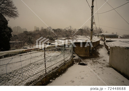 スポット 冬 距離 72448688