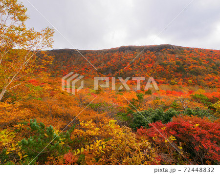 姥ヶ平の紅葉 (茶臼岳、那須、栃木県) 72448832