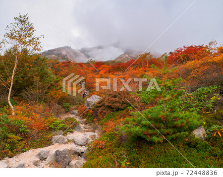 姥ヶ平の紅葉とガスに包まれた茶臼岳 (那須、栃木県) 姥ヶ平の紅葉とガスに包まれた茶臼岳 (那須、栃木県) 72448836