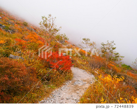濃い霧に覆われる紅葉の登山道 (茶臼岳、那須、栃木県) 濃い霧に覆われる紅葉の登山道 (茶臼岳、那須、栃木県) 72448839