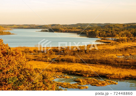 一面が晩秋の塘路湖 72448860