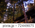 夏の神社と高木 72449075