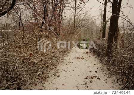 冬 雪景色 木 72449144