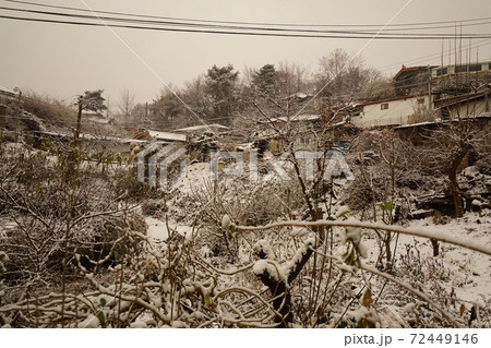 冬 雪景色 川 72449146