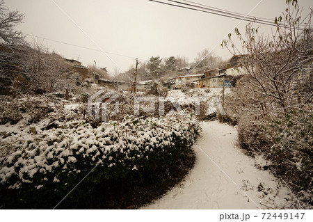 冬 雪景色 川 72449147