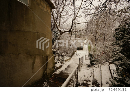 冬 雪景色 木 72449151