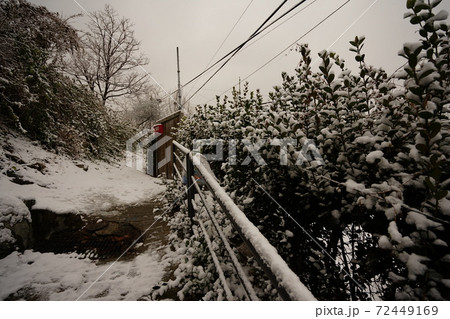 冬 雪景色 木 72449169