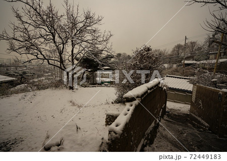 冬 雪景色 木 72449183