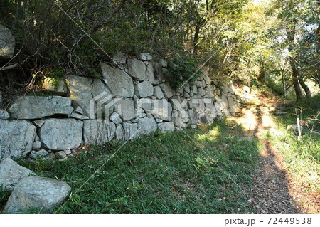 観音寺城跡　 72449538