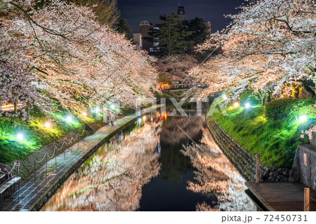 松川べりの桜 松川べりの桜 72450731