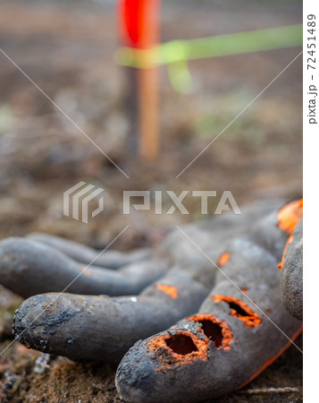 Work gloves with three holes on the index finger lie on damp clay. 72451489
