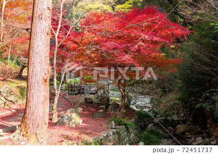 佐賀県の清水の滝　秋の紅葉が美しい 72451737