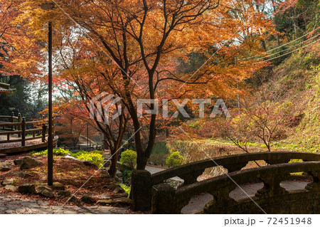 佐賀県の清水の滝 秋の紅葉が美しい 佐賀県の清水の滝 秋の紅葉が美しい 72451948